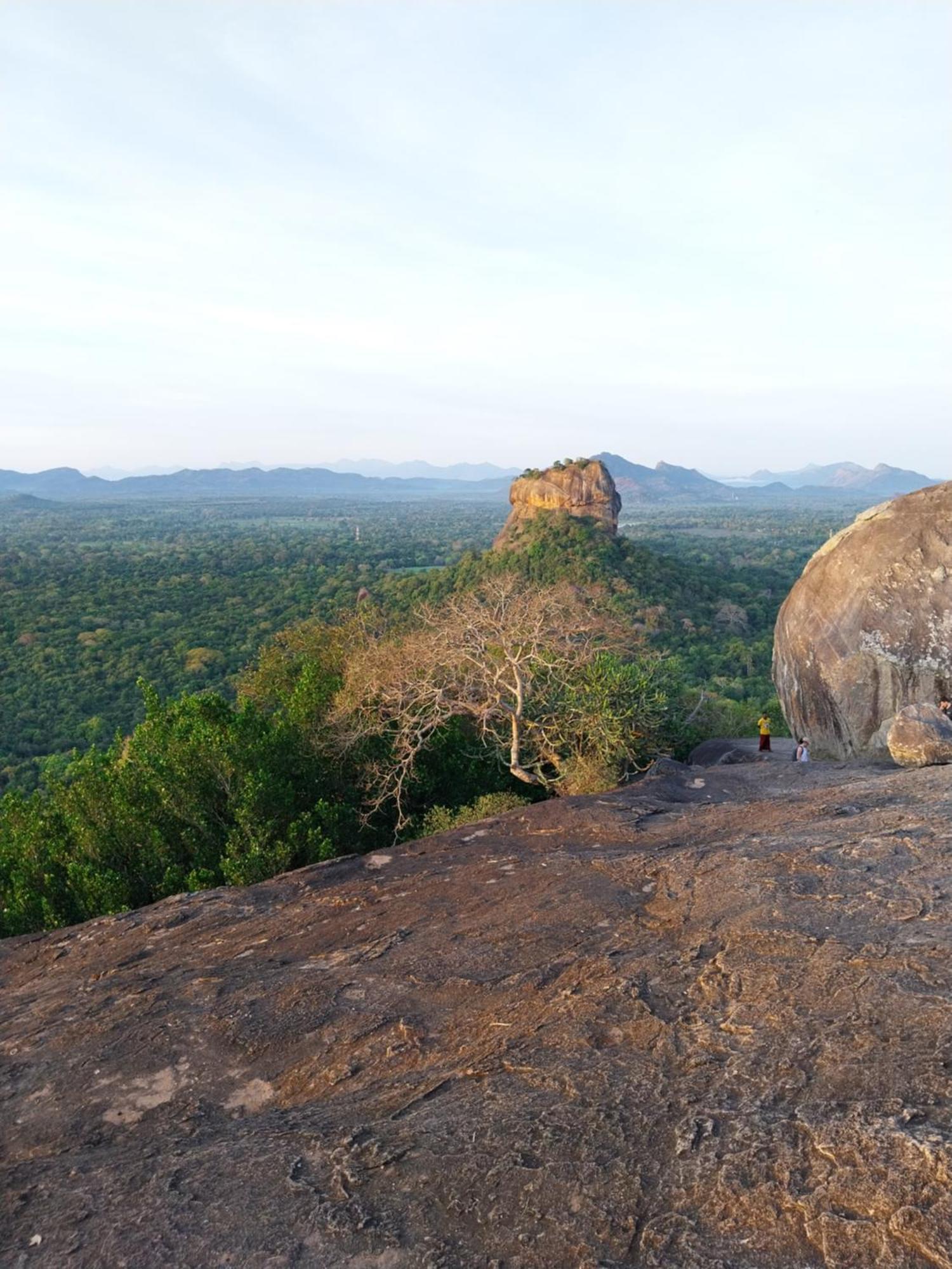 Near The Canal Homstay Sigiriya Exterior photo