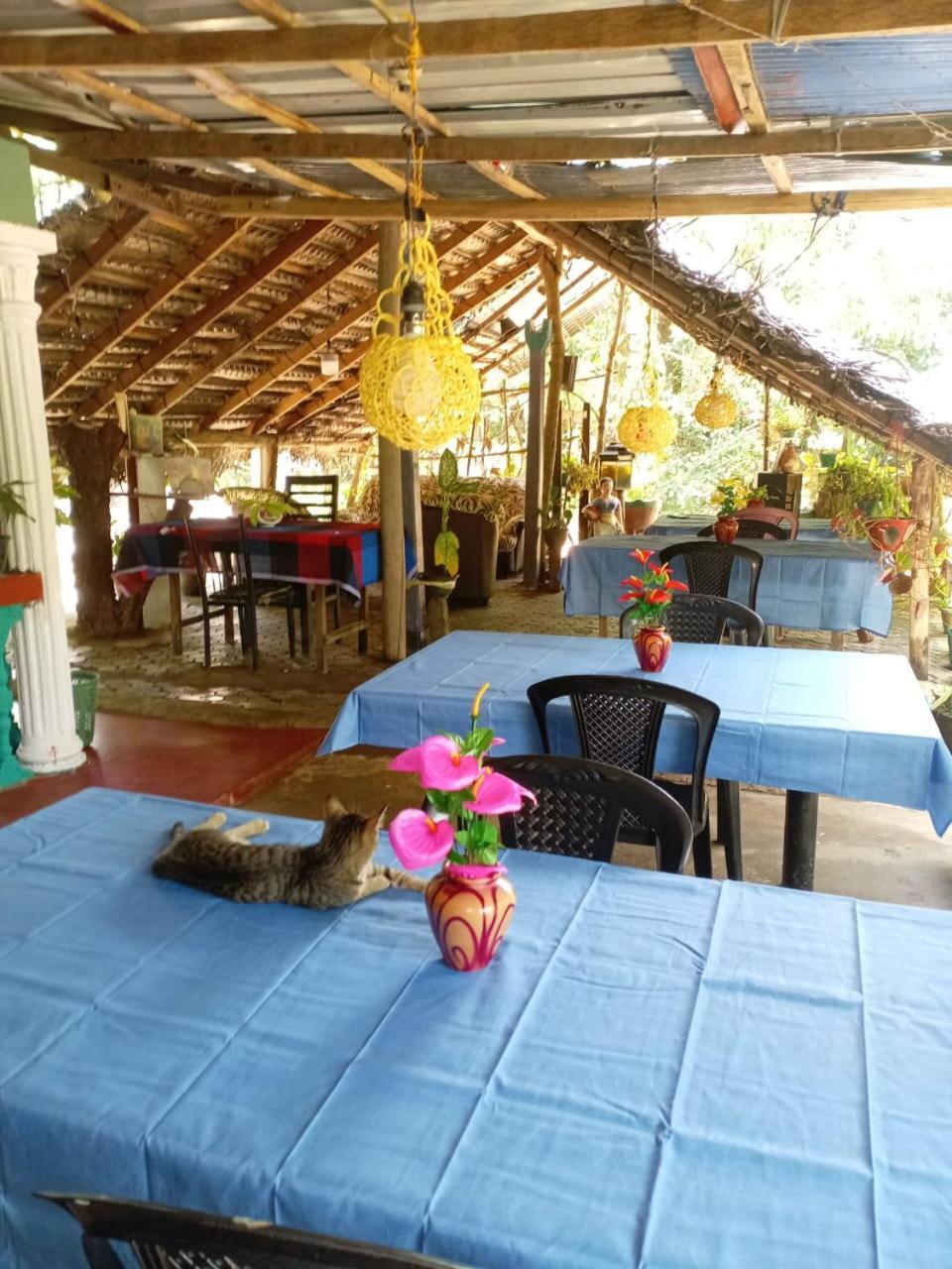 Near The Canal Homstay Sigiriya Exterior photo